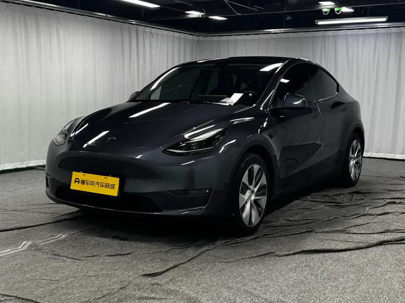 Tesla Model Y Standard Range Edition, 2021 — фото 1