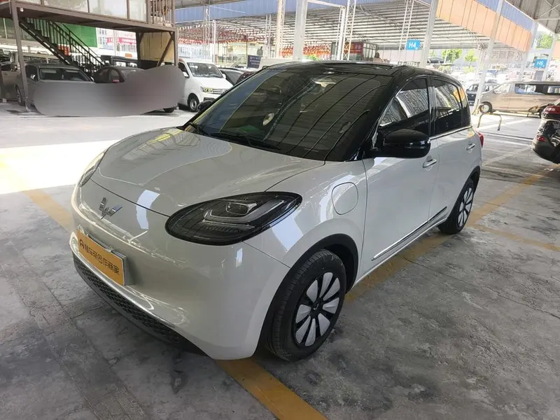 Wuling Bingo, 2024
