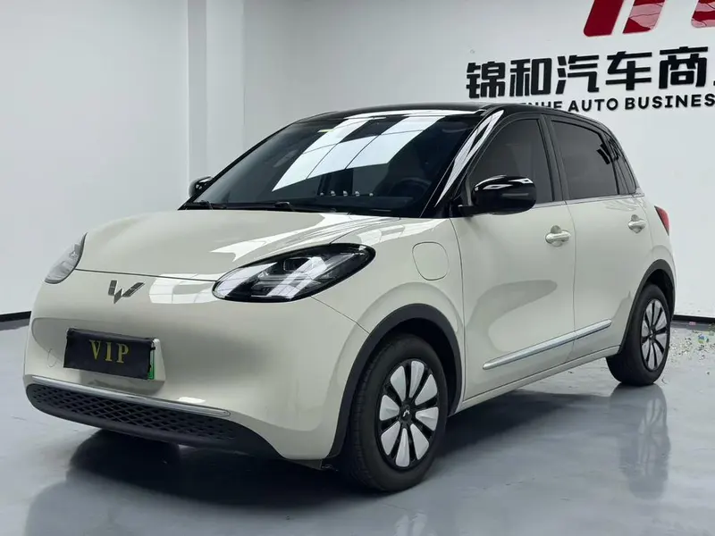 Wuling Bingo, 2023