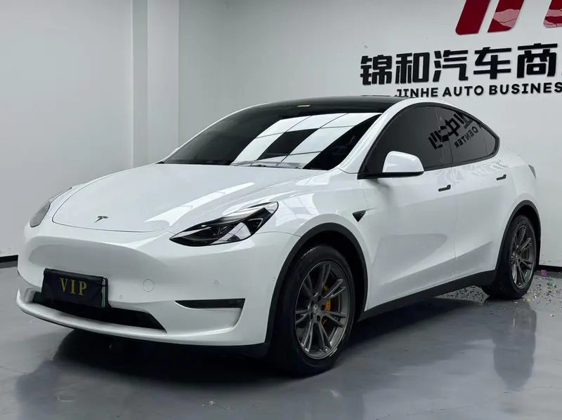 Tesla Model Y Standard Range Edition, 2021 — фото 1