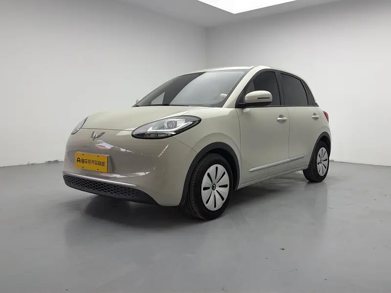 Wuling Bingo, 2023
