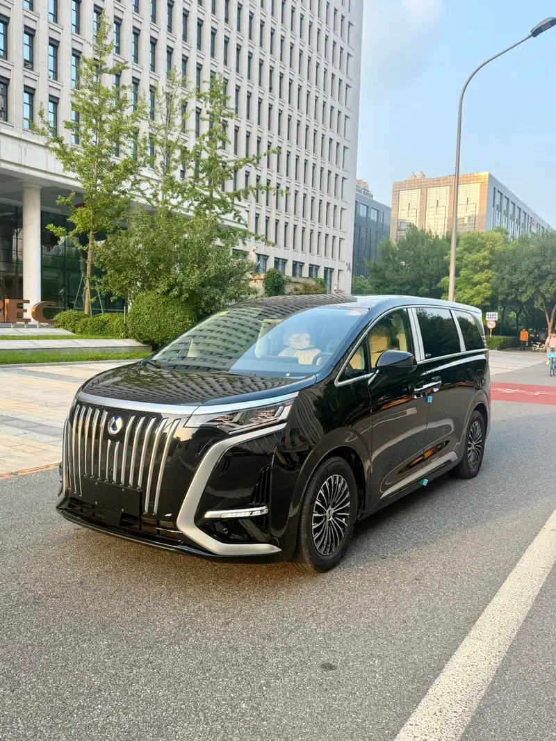 Denza D9 EV, 2024