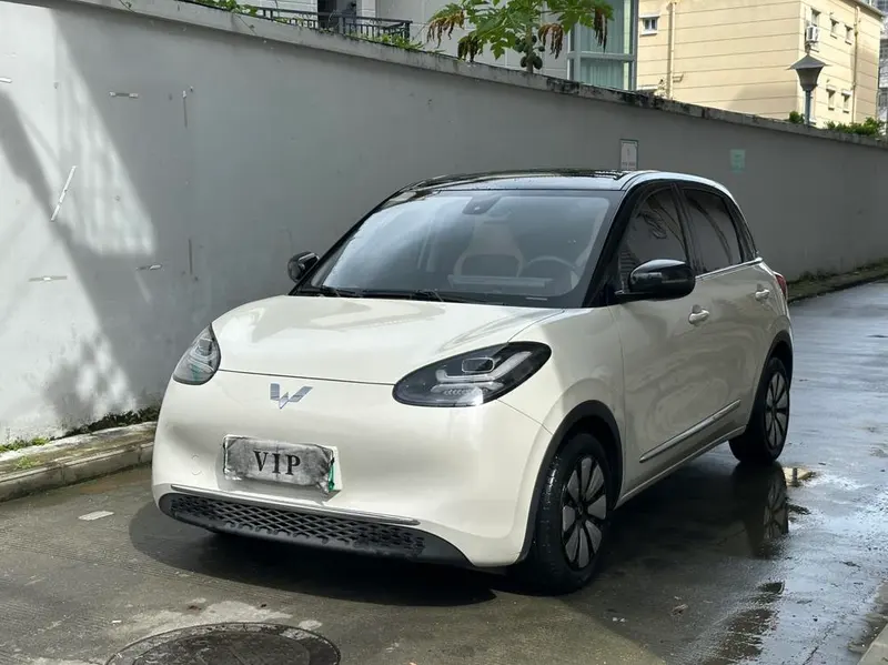 Wuling Bingo, 2023