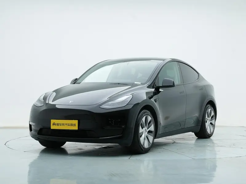 Tesla Model Y Standard Range Edition, 2021 — фото 1
