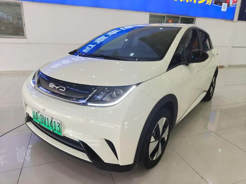 BYD Dolphin Edition, 2023 — фото 1