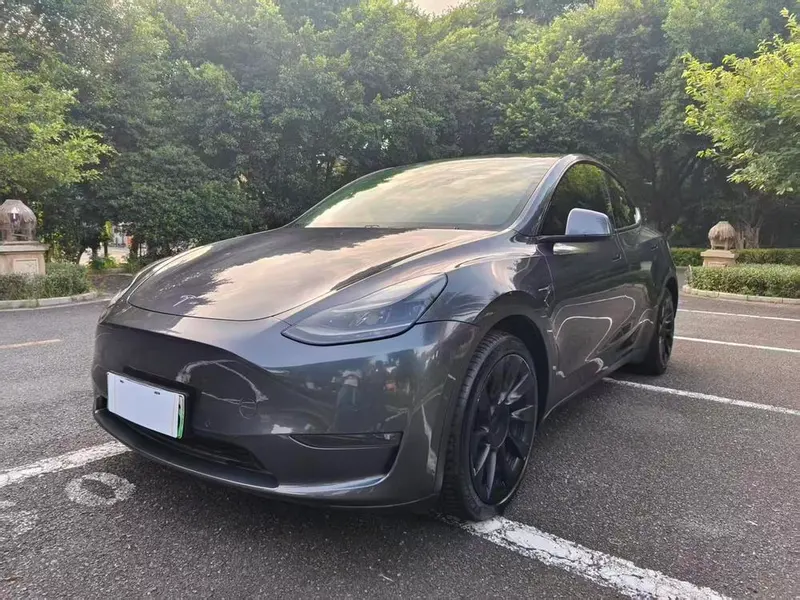 Tesla Model Y Long Range AWD Edition, 2021 — фото 1