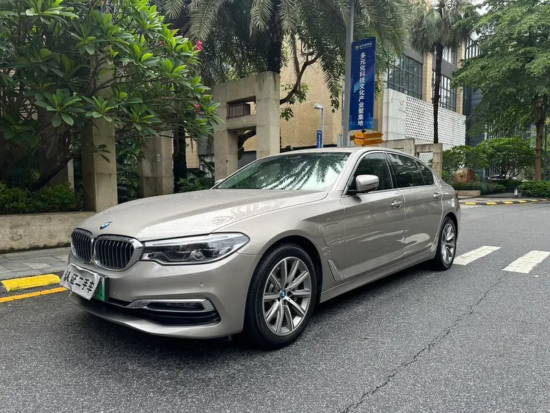 BMW 5-Series PHEV 530Le Luxury, 2019 — фото 1