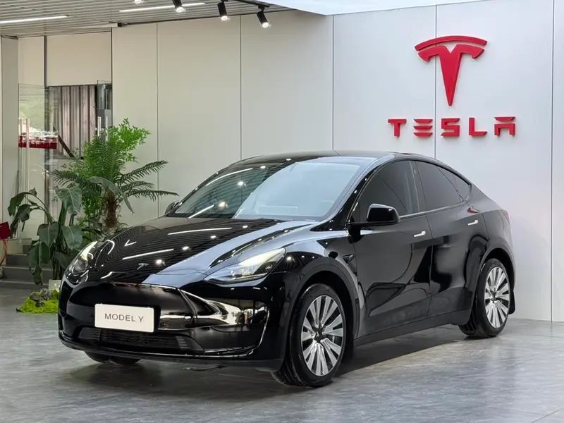 Tesla Model Y Edition, 2022 — фото 1