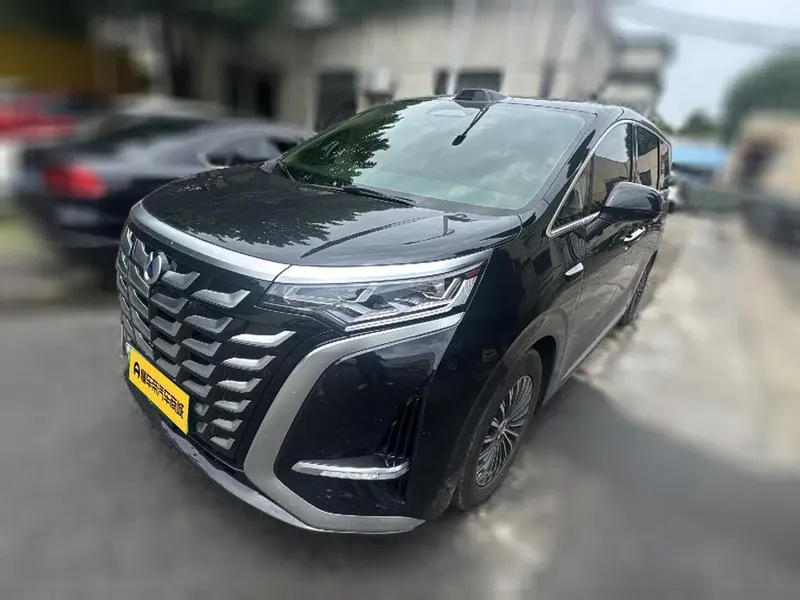 Denza D9 DM, 2025