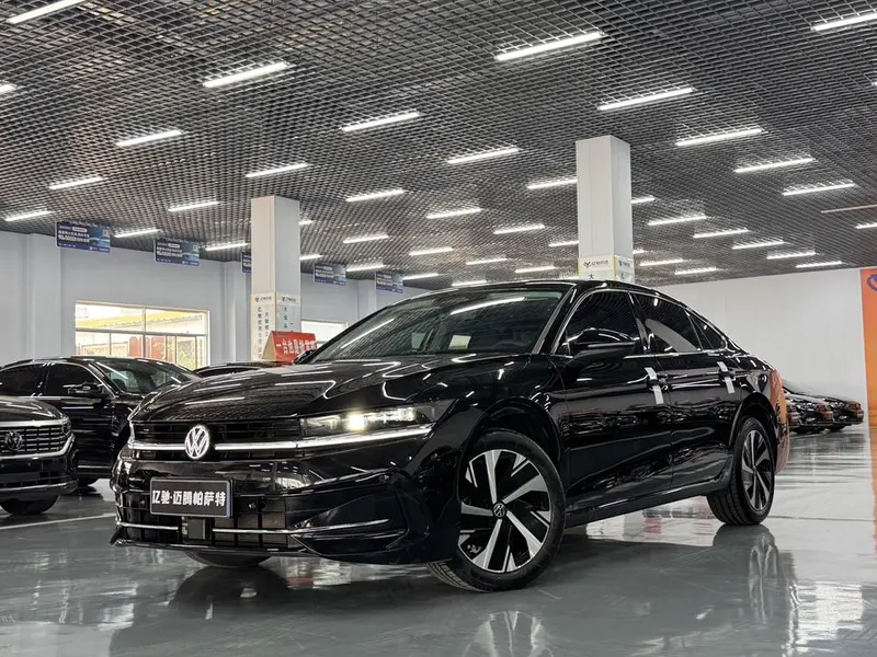 Volkswagen Magotan, 2024