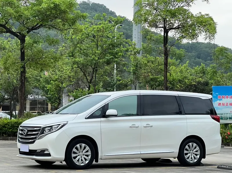 GAC Trumpchi Trumpchi M8, 2018
