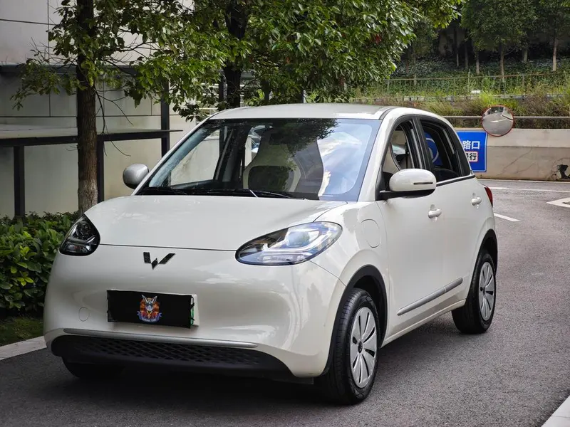 Wuling Bingo, 2024