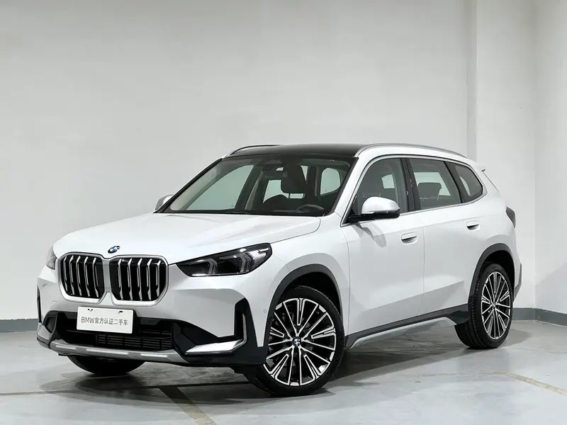BMW X1 xDrive25Li X, 2023 — фото 1