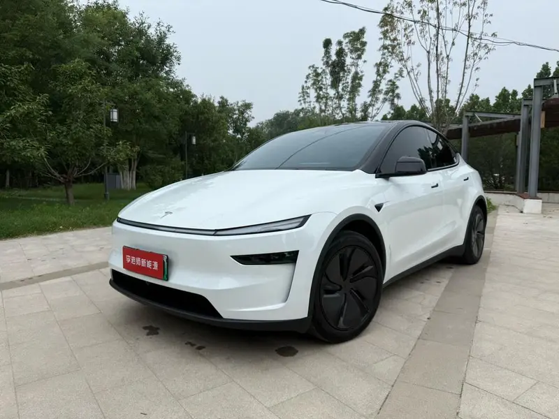 Tesla Model Y Edition, 2025 — фото 1