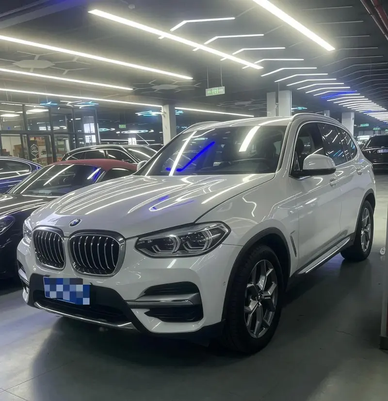 BMW X3 xDrive28i Luxury, 2019 — фото 1
