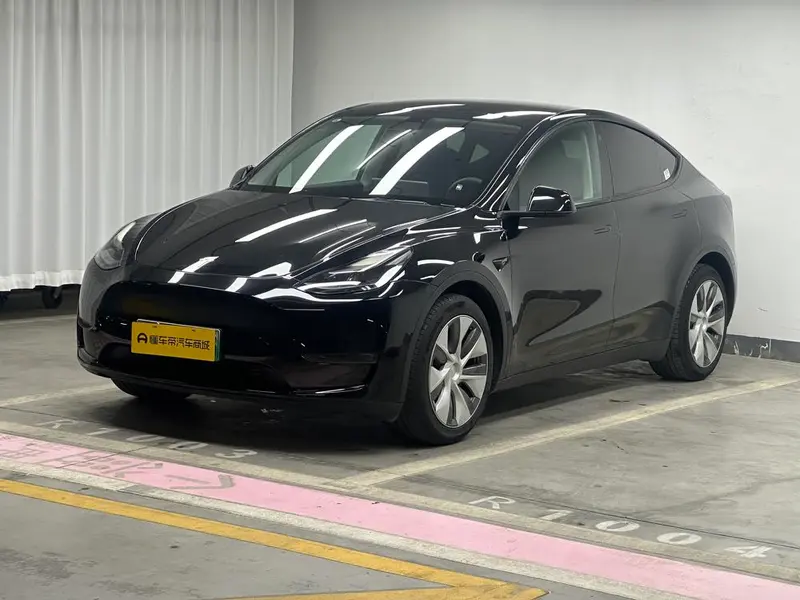 Tesla Model Y Standard Range Edition, 2021 — фото 1