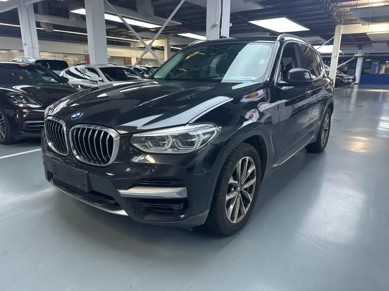 BMW X3 xDrive25i Luxury, 2020 — фото 1