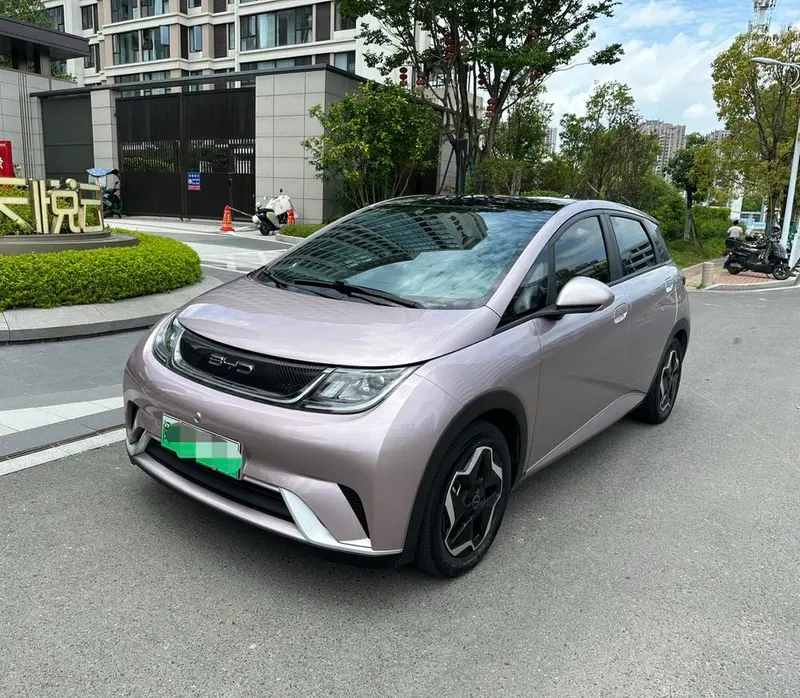 BYD Dolphin Fashion Edition, 2021 — фото 1