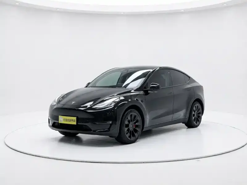 Tesla Model Y, 2021 — фото 1