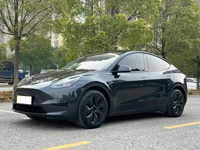 Tesla Model Y, 2024 — фото 1