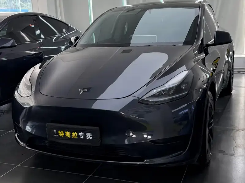 Tesla Model Y, 2024 — фото 1