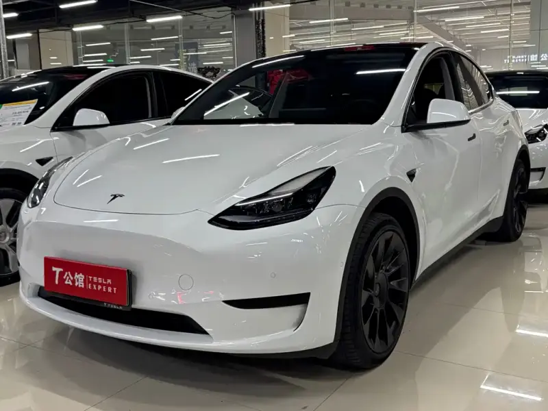 Tesla Model Y, 2023 — фото 1