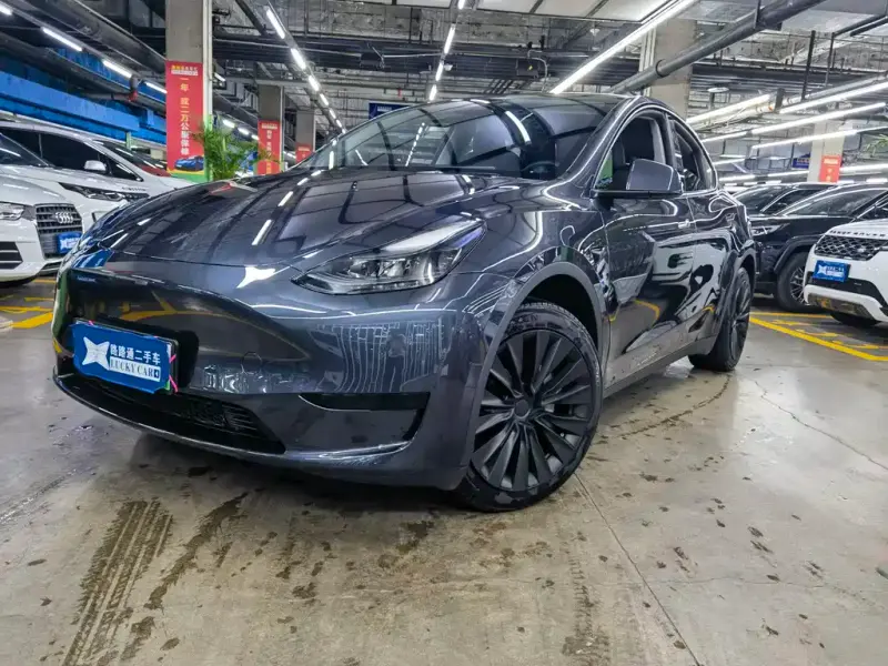 Tesla Model Y, 2024 — фото 1