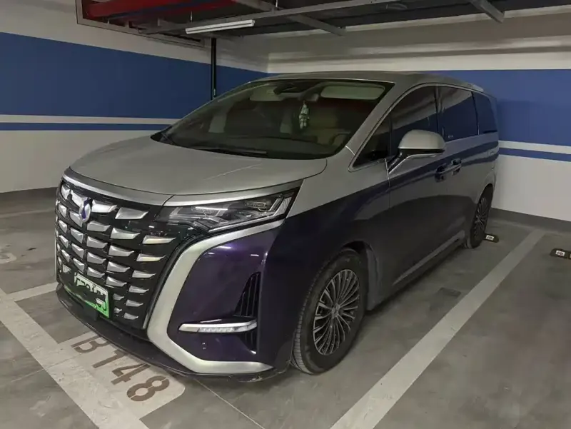 Denza D9, 2023