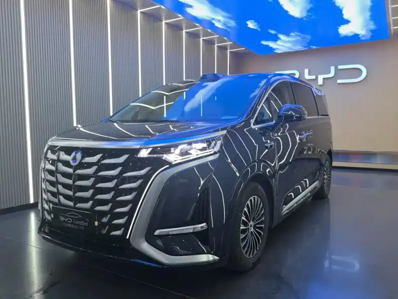 Denza D9, 2025