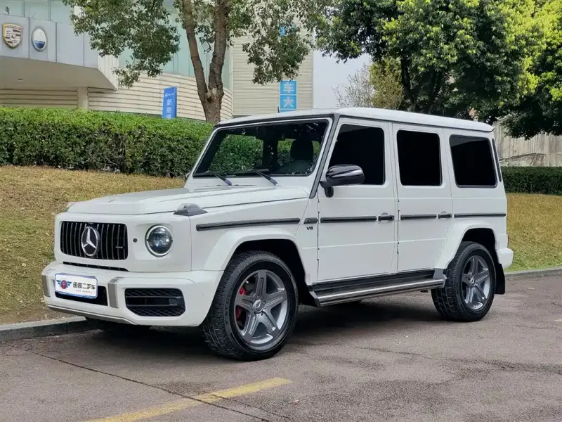 Mercedes-Benz G-Class, 2017 — фото 1
