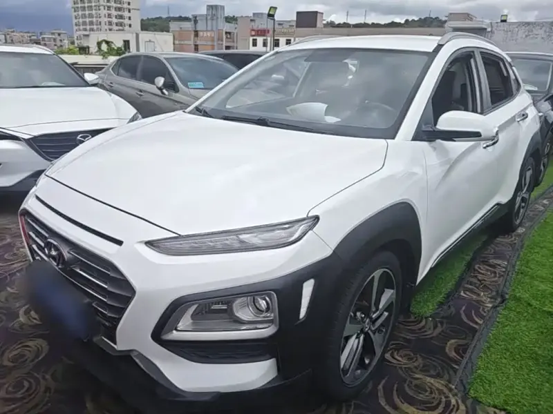 Hyundai Encino, 2019