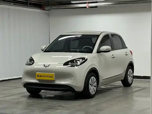 Wuling Bingo, 2024