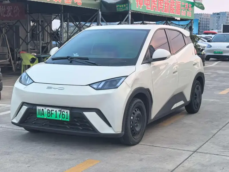 BYD Seagull, 2024