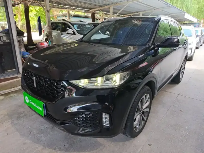 Wey VV6, 2019