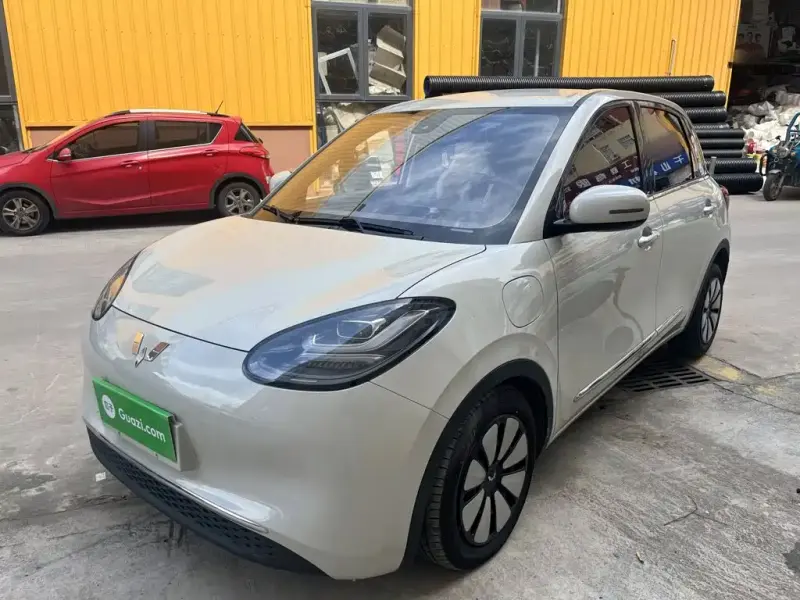 Wuling Bingo, 2023