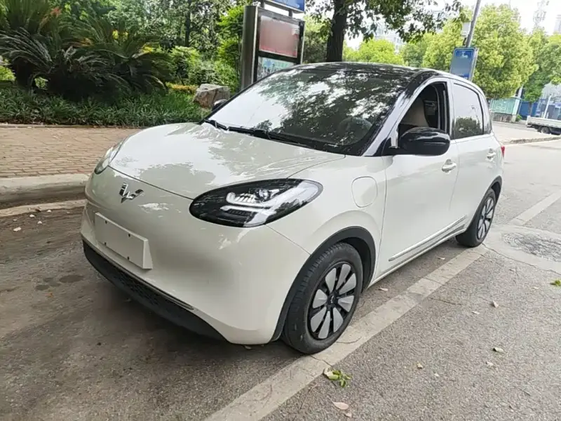 Wuling Bingo, 2023
