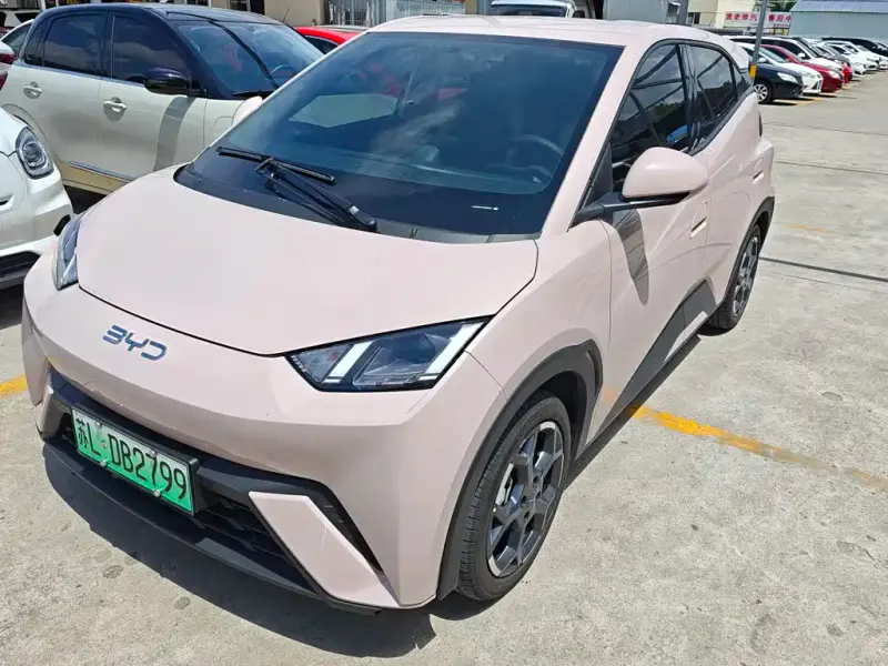 BYD Seagull, 2025