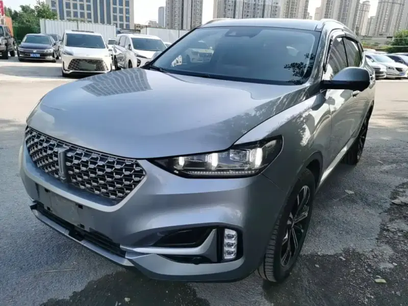 Wey VV6, 2021