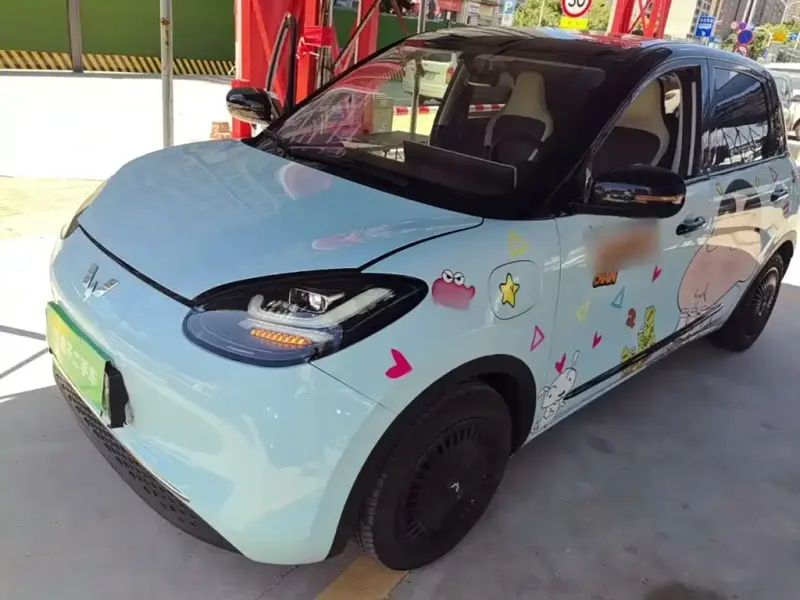 Wuling Bingo, 2024