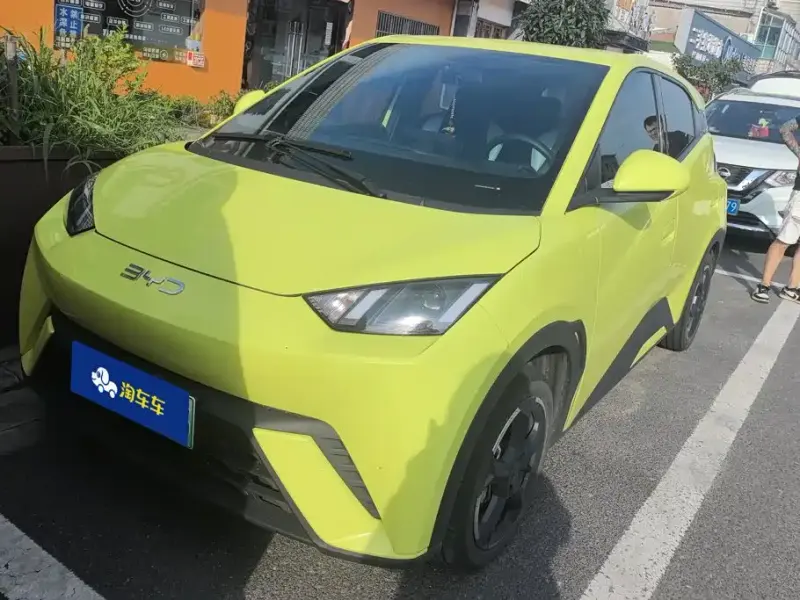 BYD Seagull, 2024