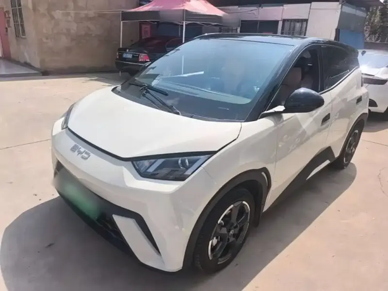 BYD Seagull, 2024