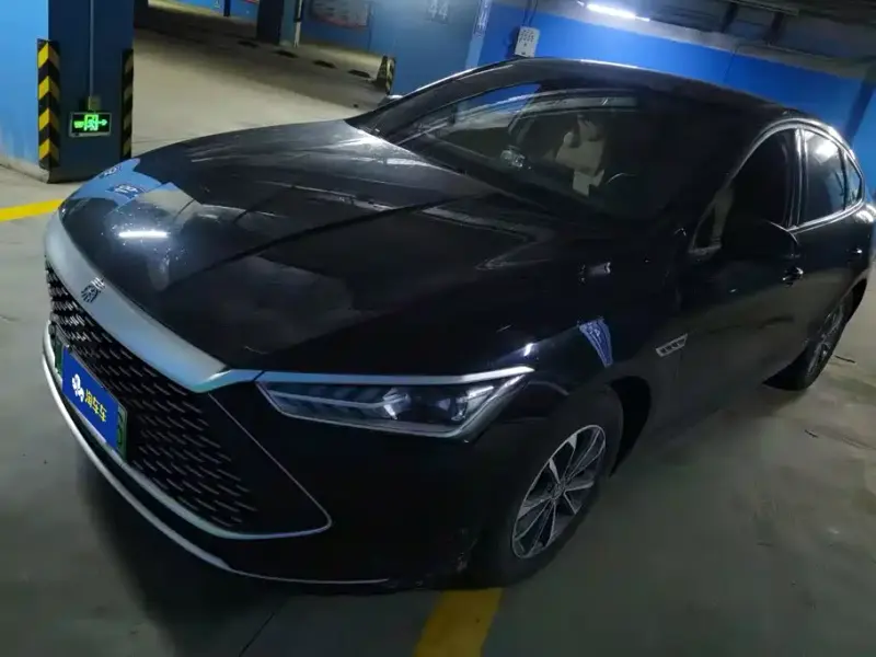 BYD Qin PLUS, 2024