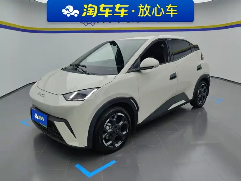 BYD Seagull, 2025