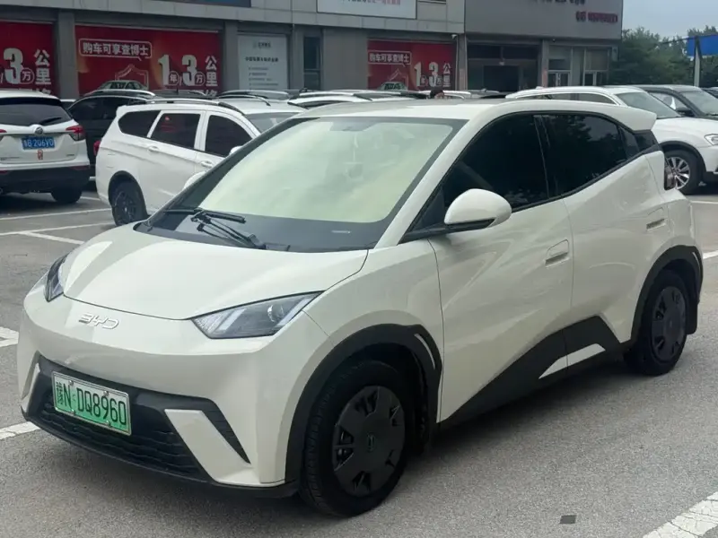BYD Seagull, 2025