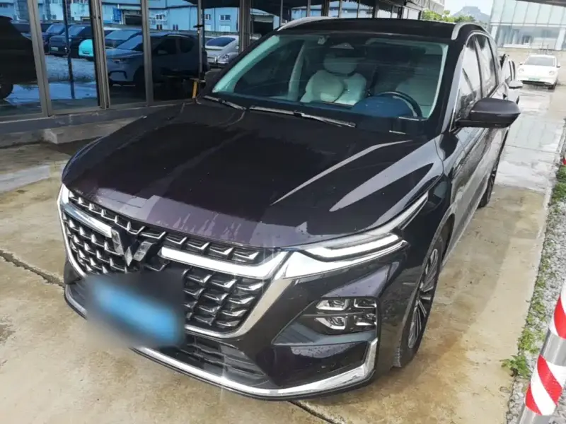Wuling Victory, 2023
