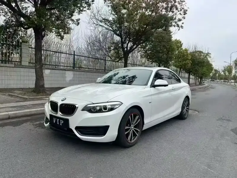 BMW 2 Series (Import), 2018