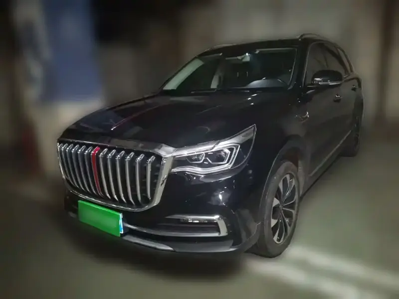 Hongqi HS7, 2020