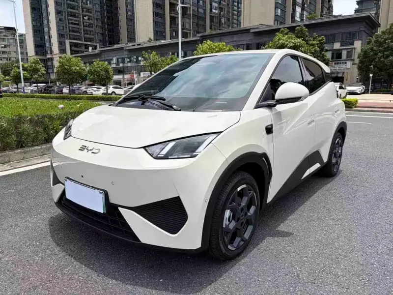 BYD Seagull, 2025