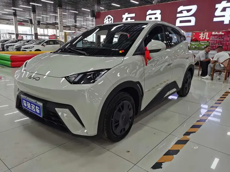 BYD Seagull, 2026