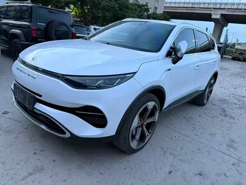 Denza X, 2021